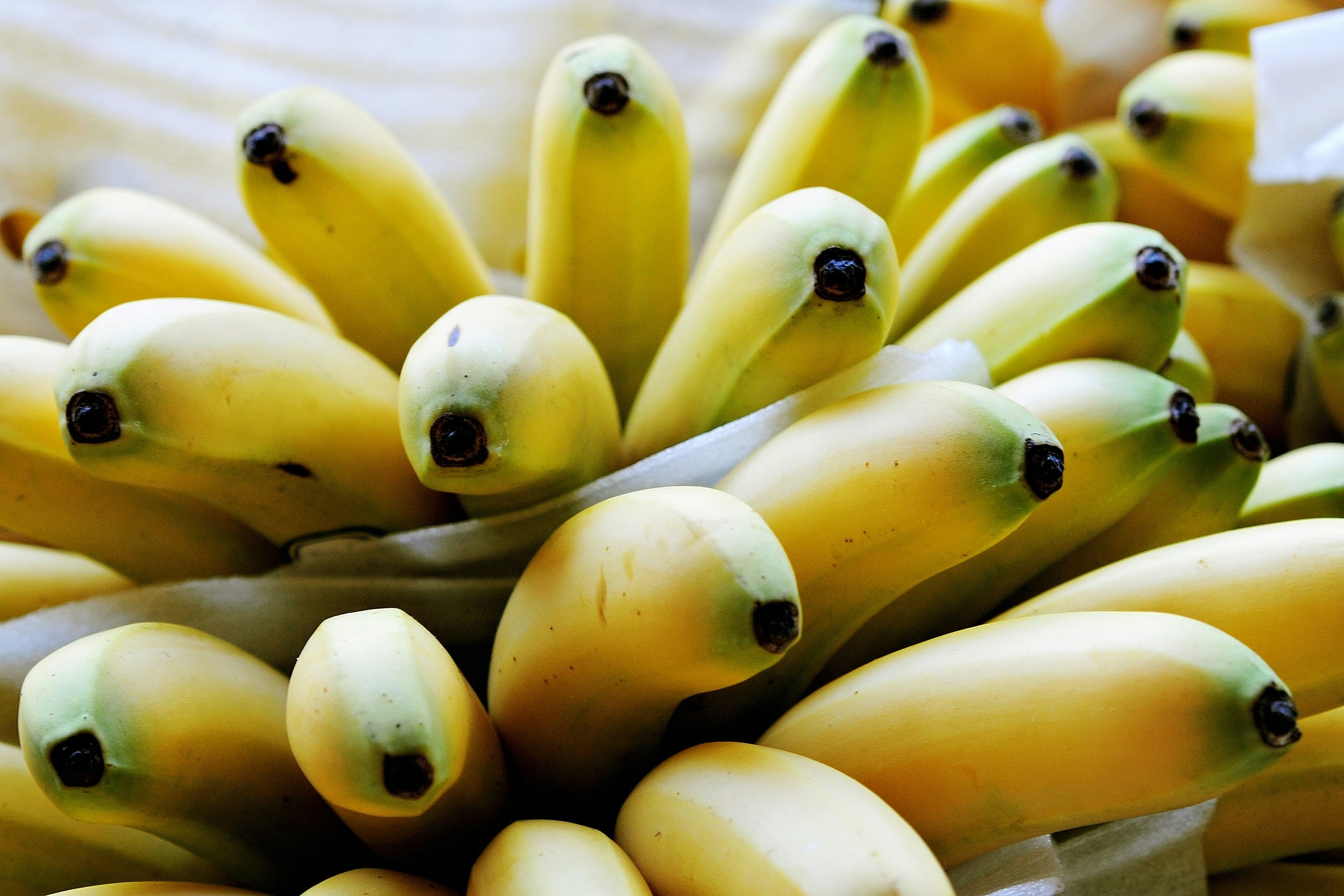 Fruit-Based vs Synthetic Energy Gels: What’s Better?
