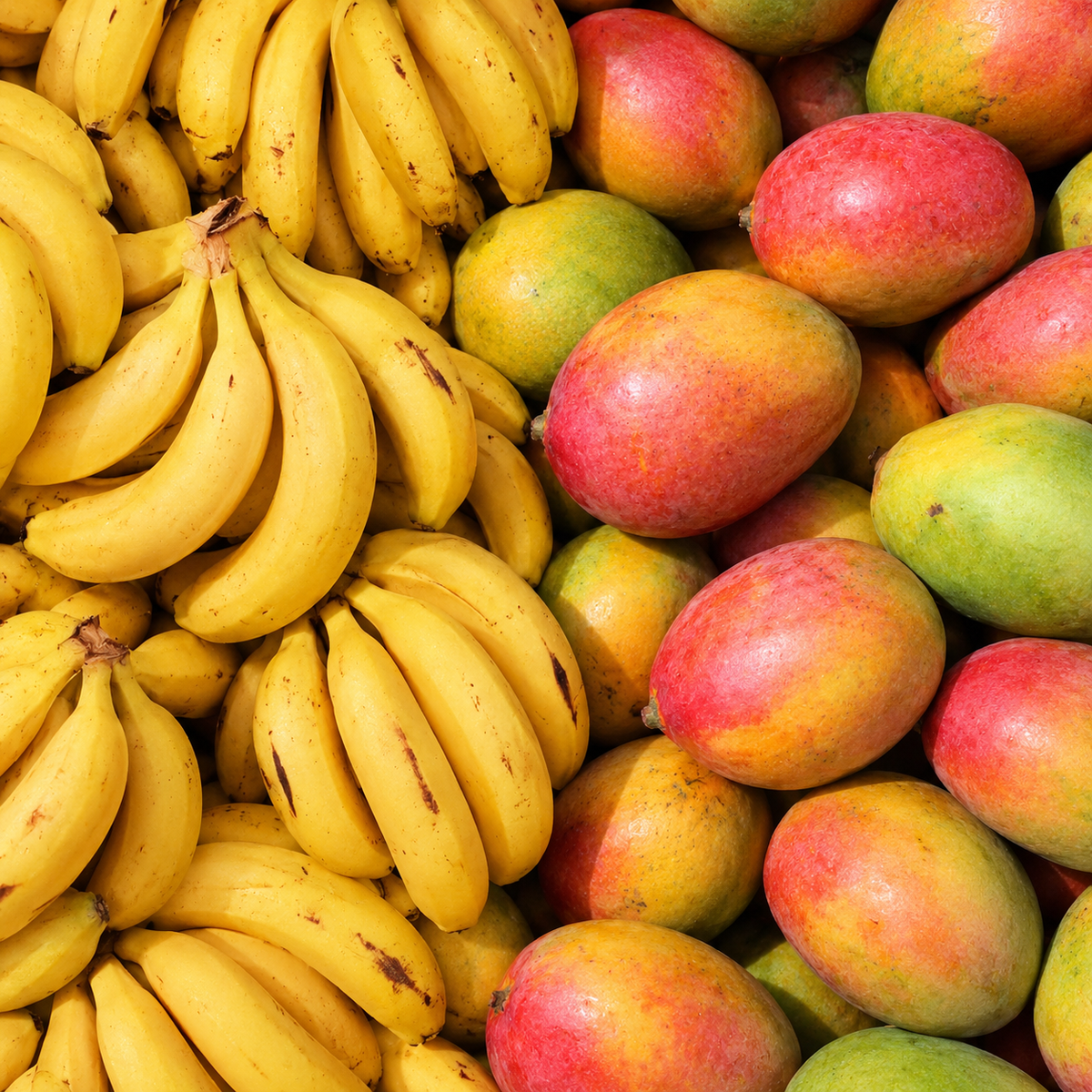 A close-up arrangement of ripe yellow bananas on the left and several mangoes with red, yellow, and green skin on the right, filling the frame.